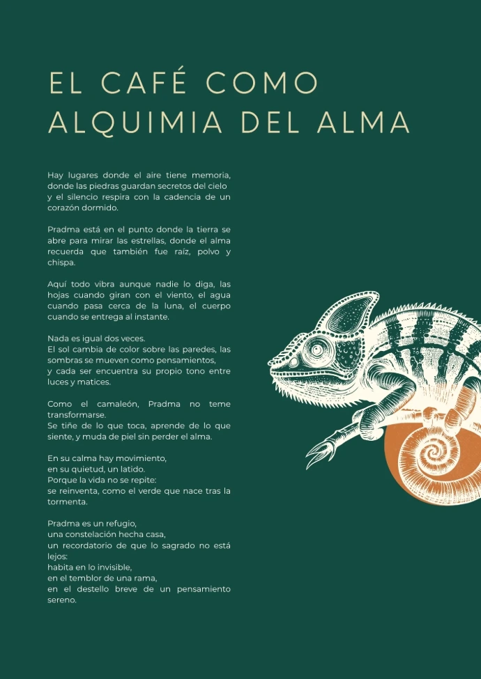 El cafe como alquimia del alma